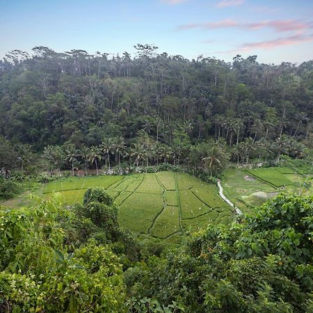 Black Penny Villas Ubud Exterior photo