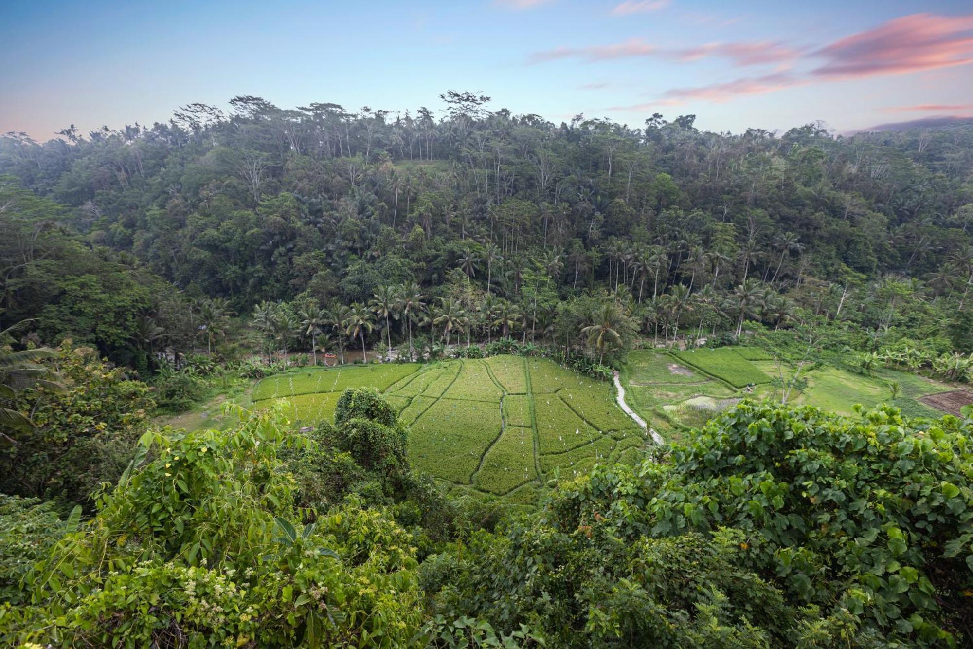 Black Penny Villas Ubud Exterior photo